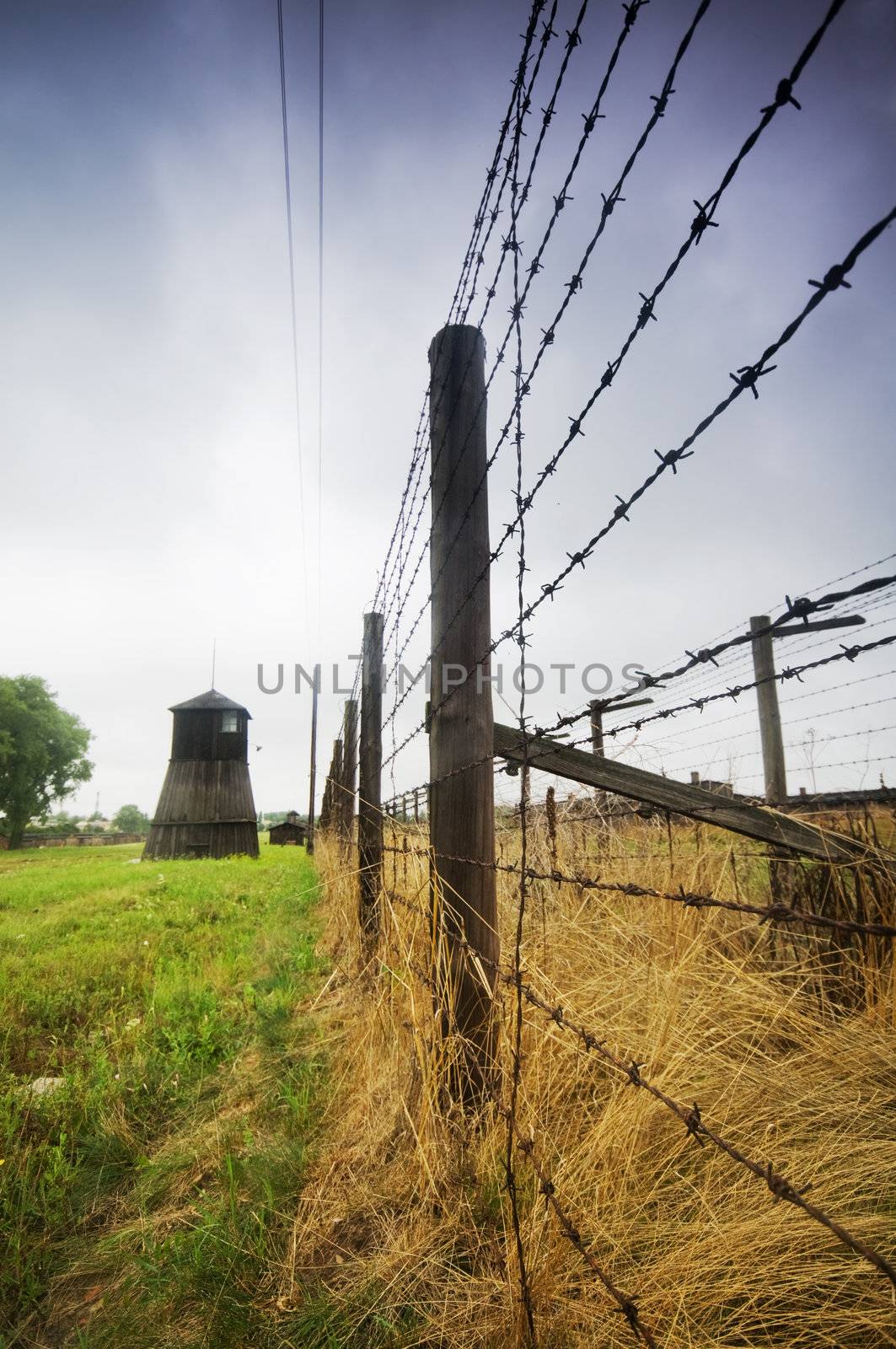 Barbed wire fence to prison by photocreo