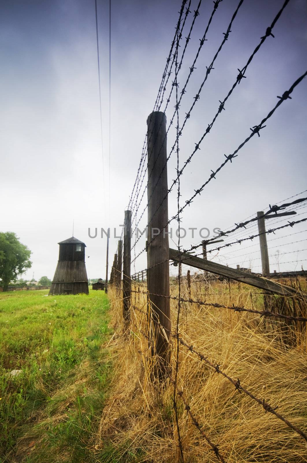 Barbed wire fence. Old prison