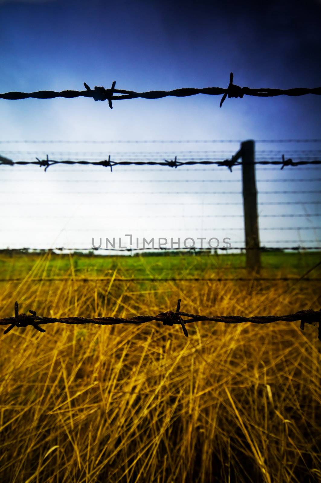 Barbed wire fence to prison by photocreo