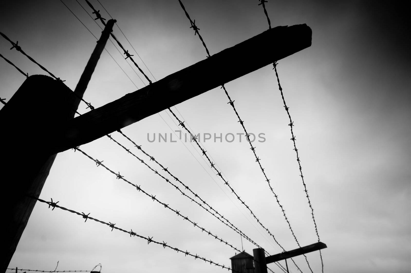 Prison. Barbed wire fence. Black and white