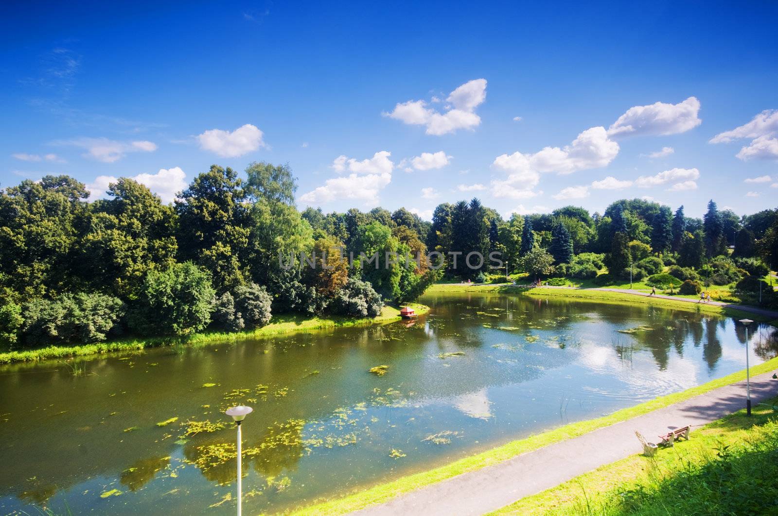Colorful autumn summer park with lake