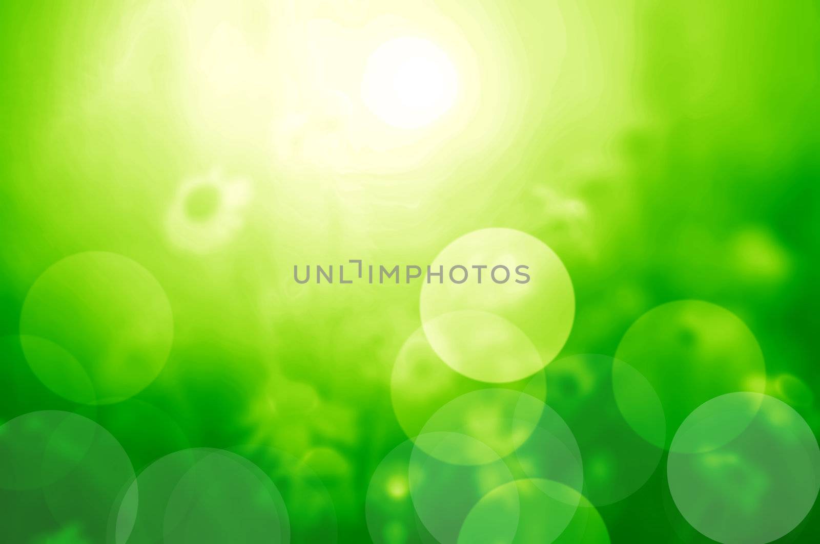 Nature blur background. Spring / summer sunny day