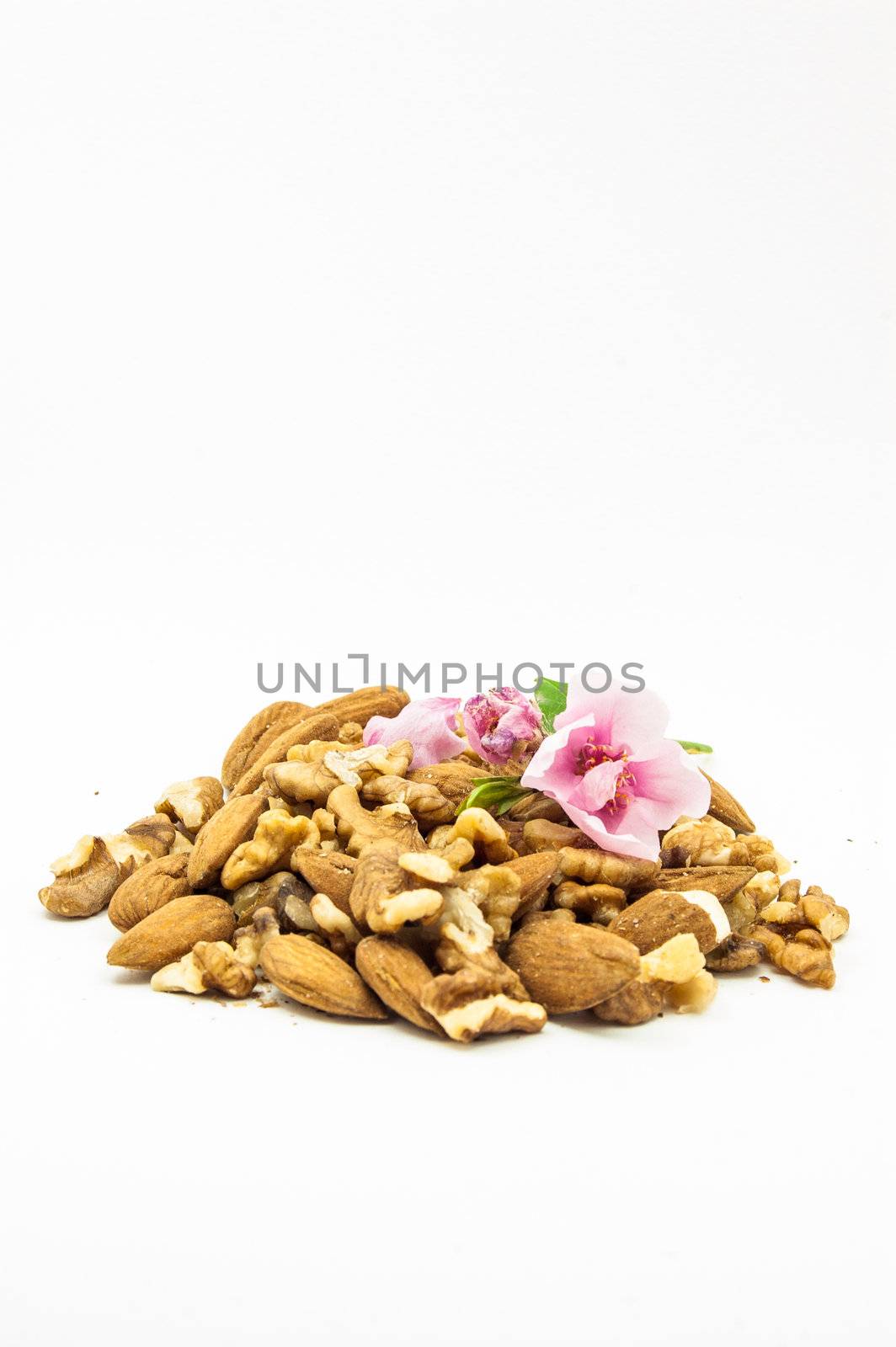 Almonds and nuts isolated at the studio