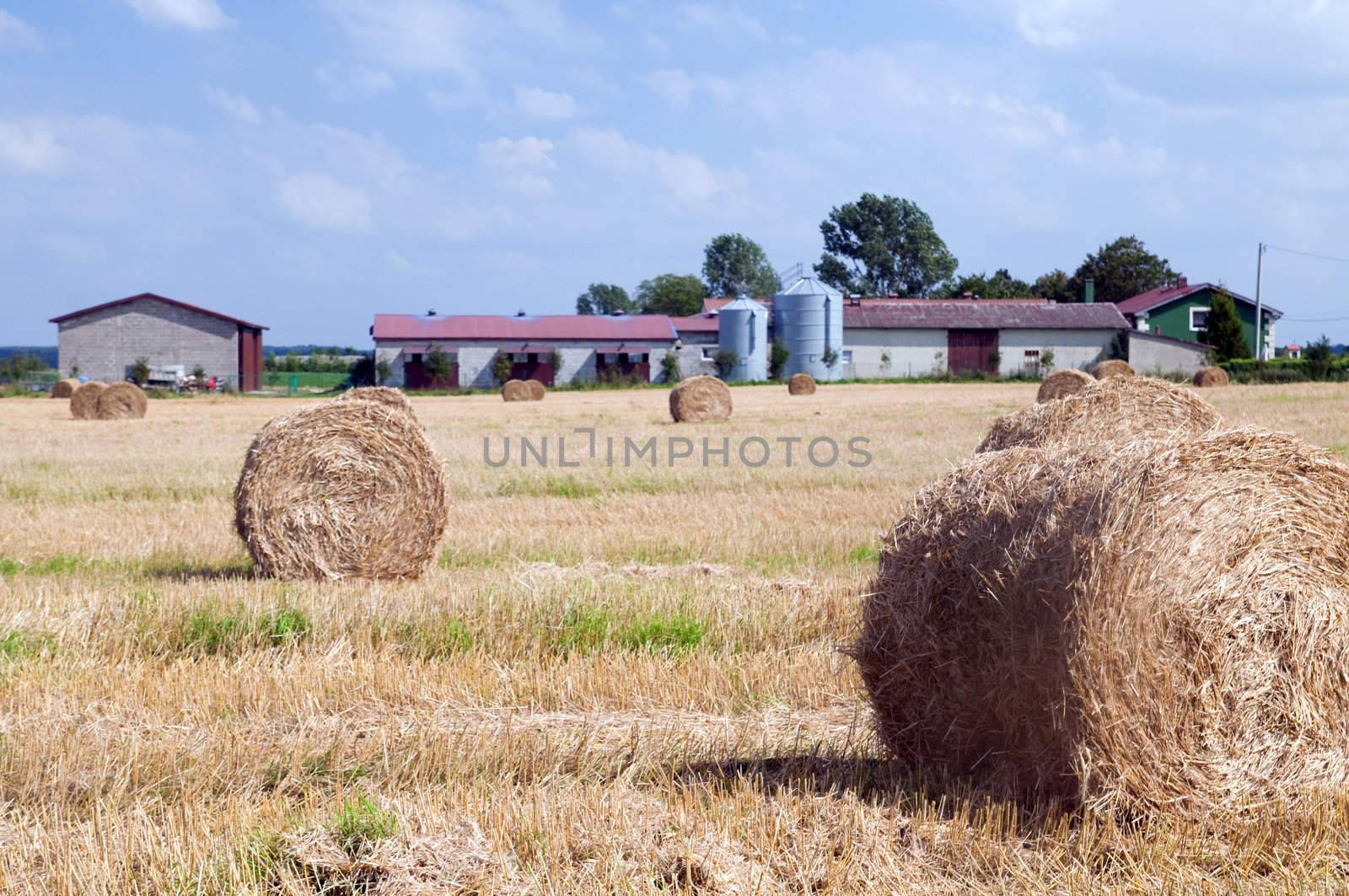 Farm buildings and haystack on the field