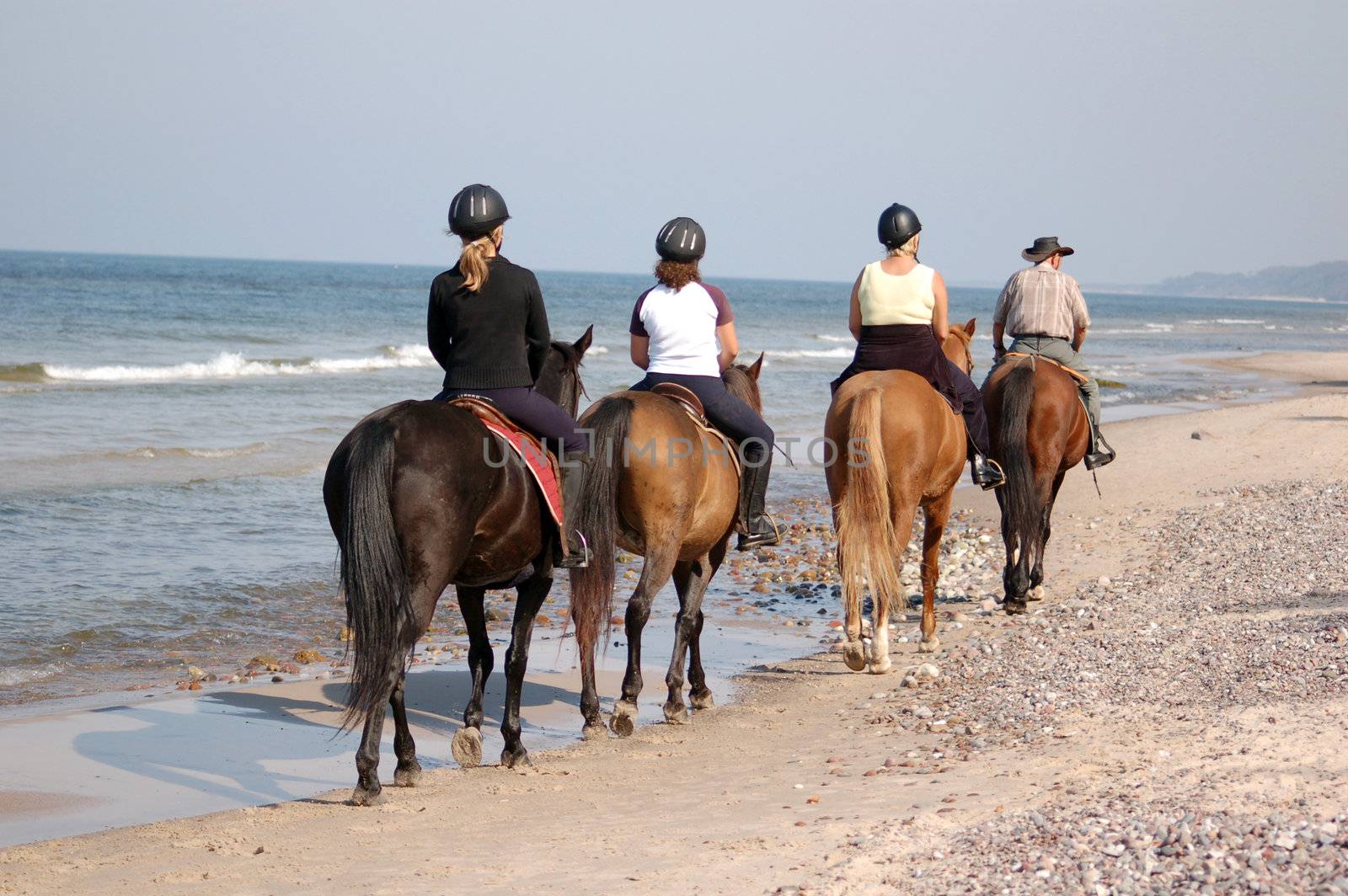 Beach horse-riding in summertime