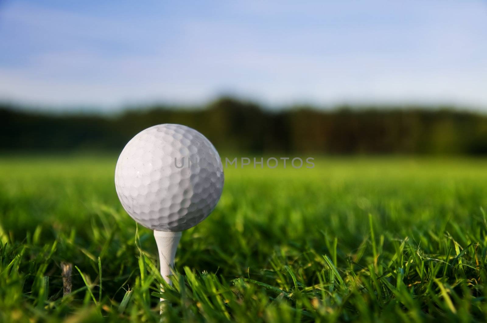 Golf ball on tee. Green grass, blue sky.