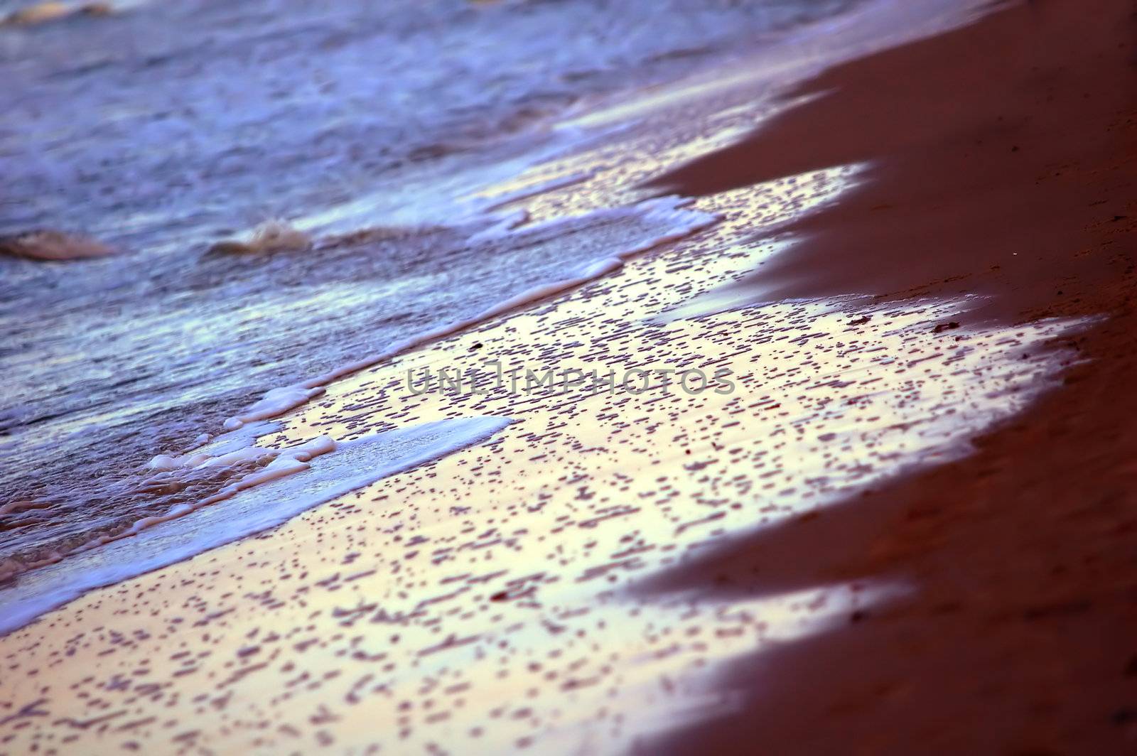 Beautiful ocean in gold sunshine