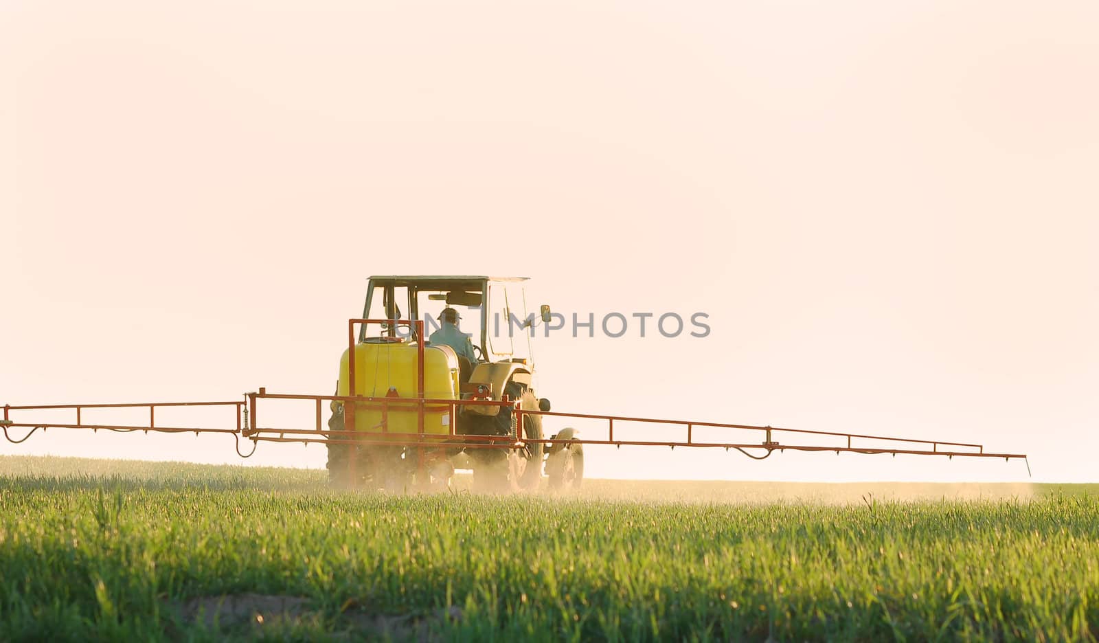 Spraying the Crop. Focus on tractor
