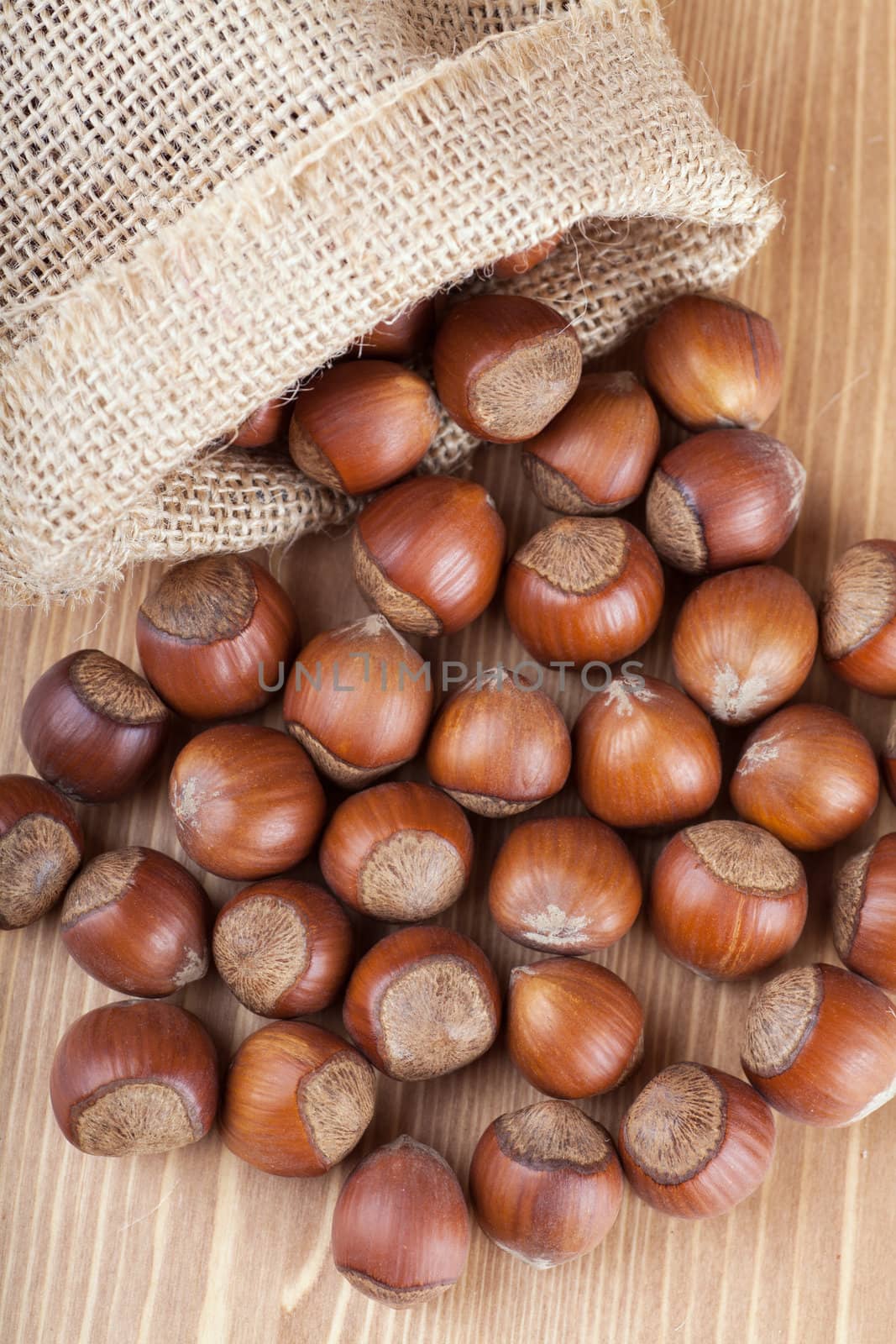 Hazelnuts by AGorohov