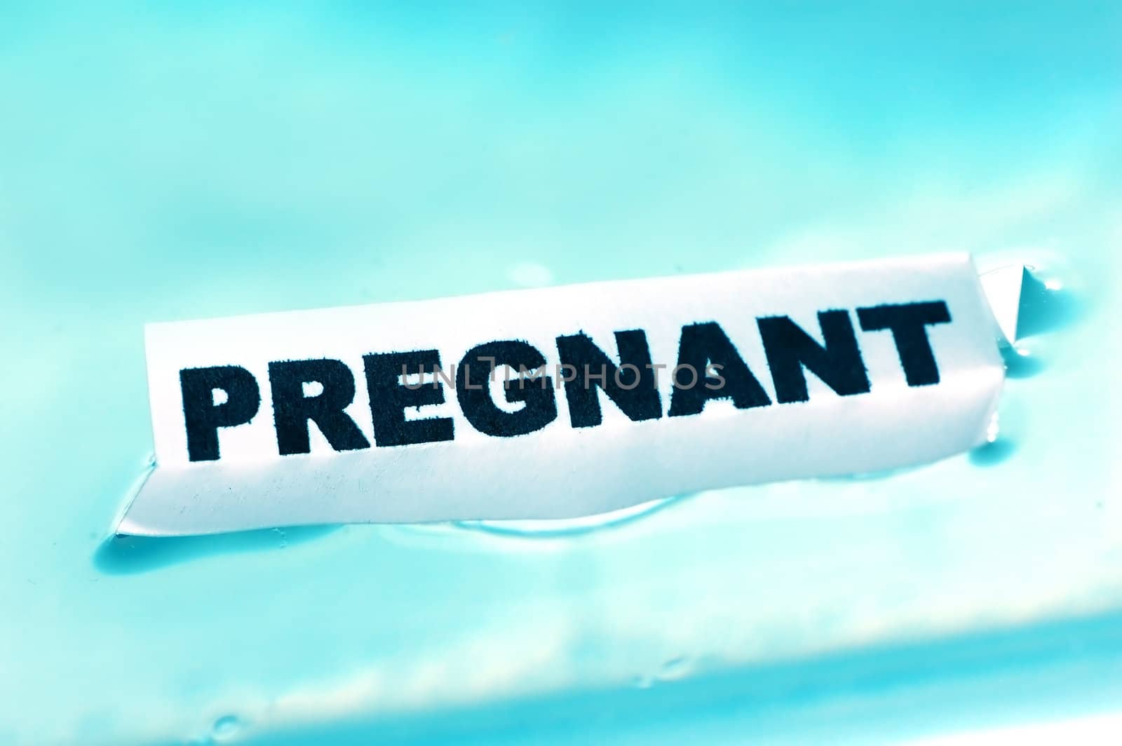 Card floating on water surface with printed word: PREGNANT 