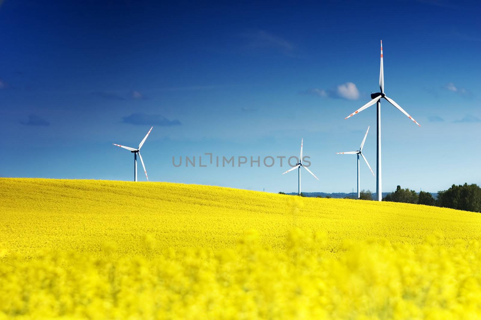 Wind turbines. Energy. Beautiful meadow