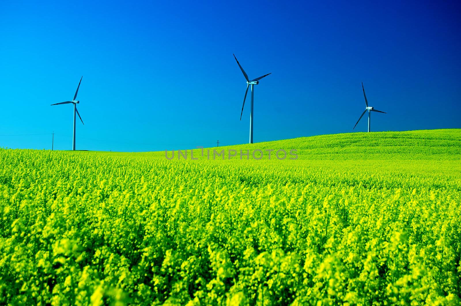 Wind turbines. Energy. Beautiful meadow