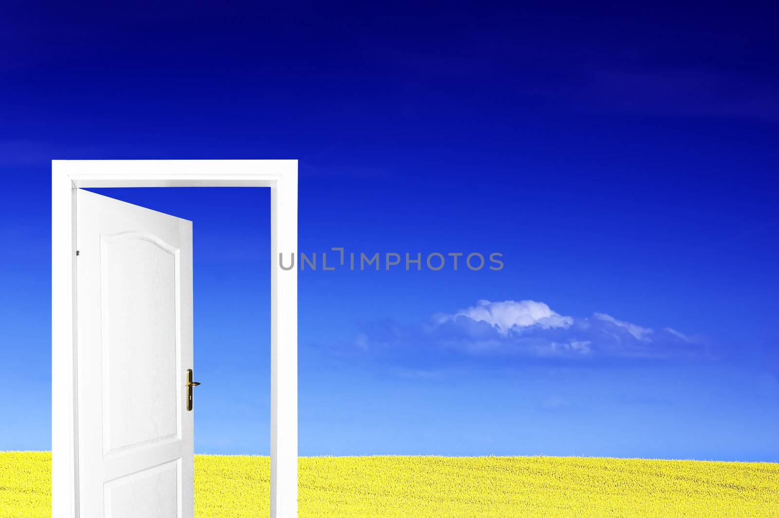 Door to new world. Ready to use or edit