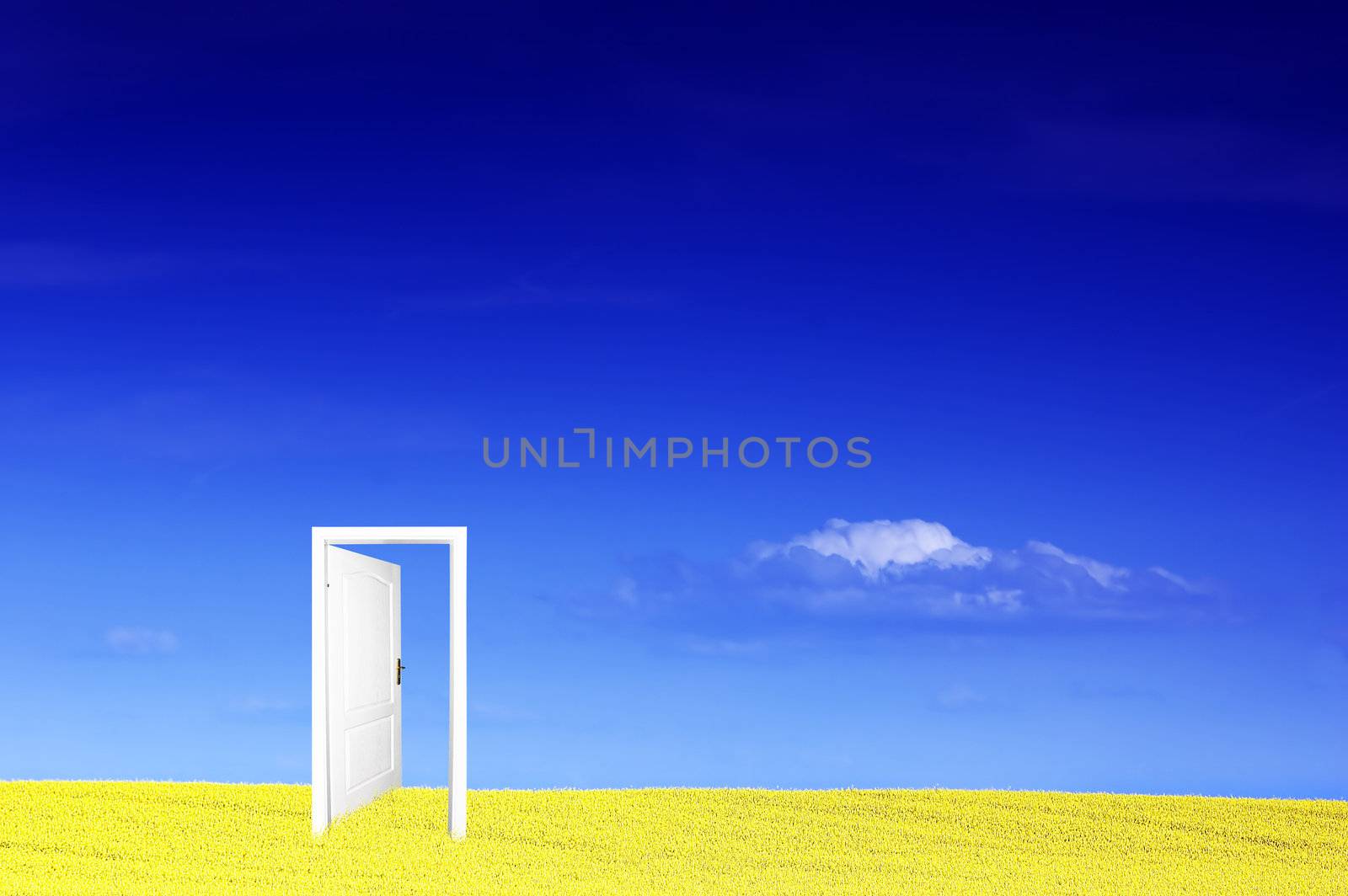 Door to new world. Ready to use or edit