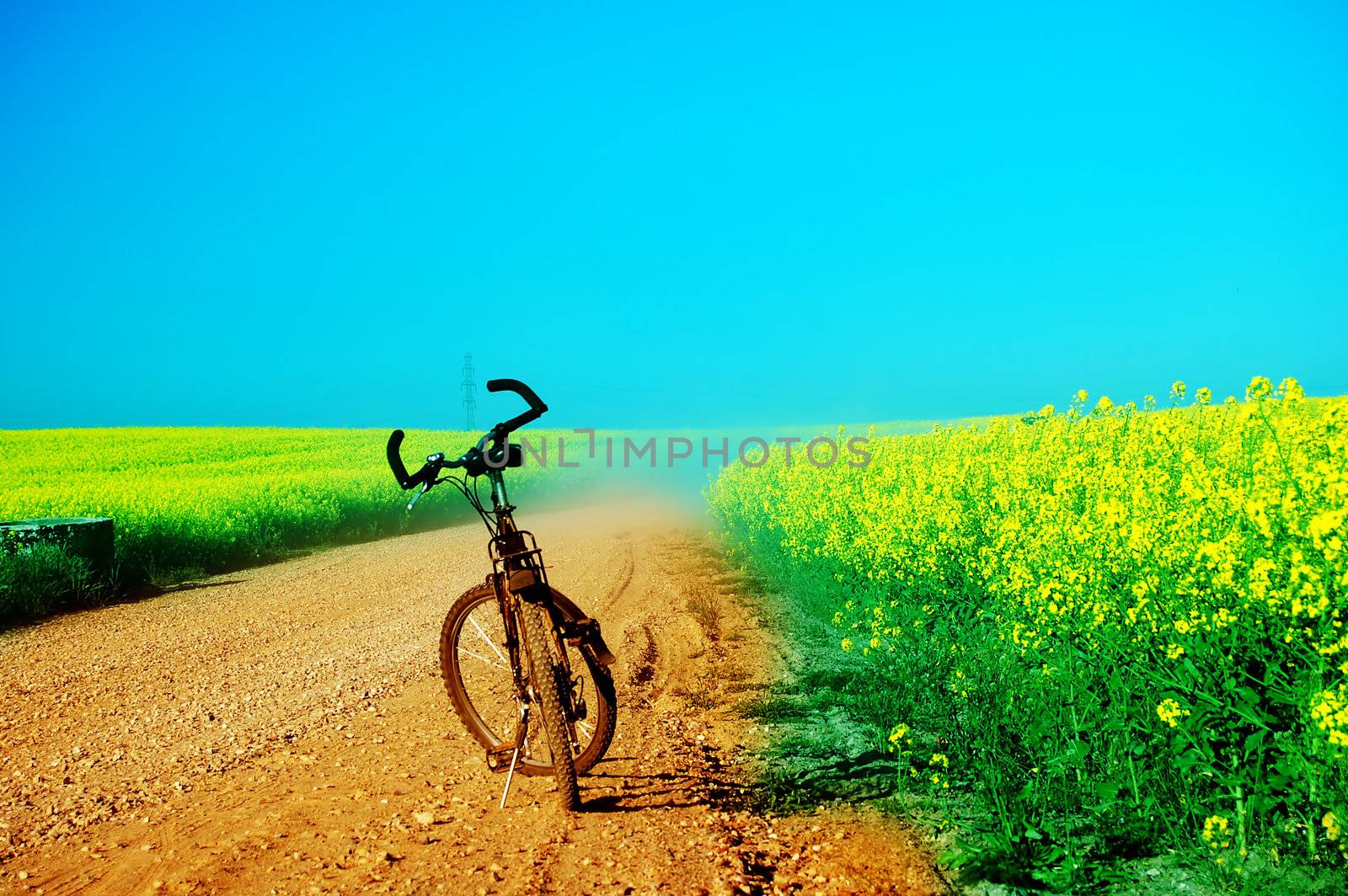 Bicycle at sunny, summer day at field. Copyspace above