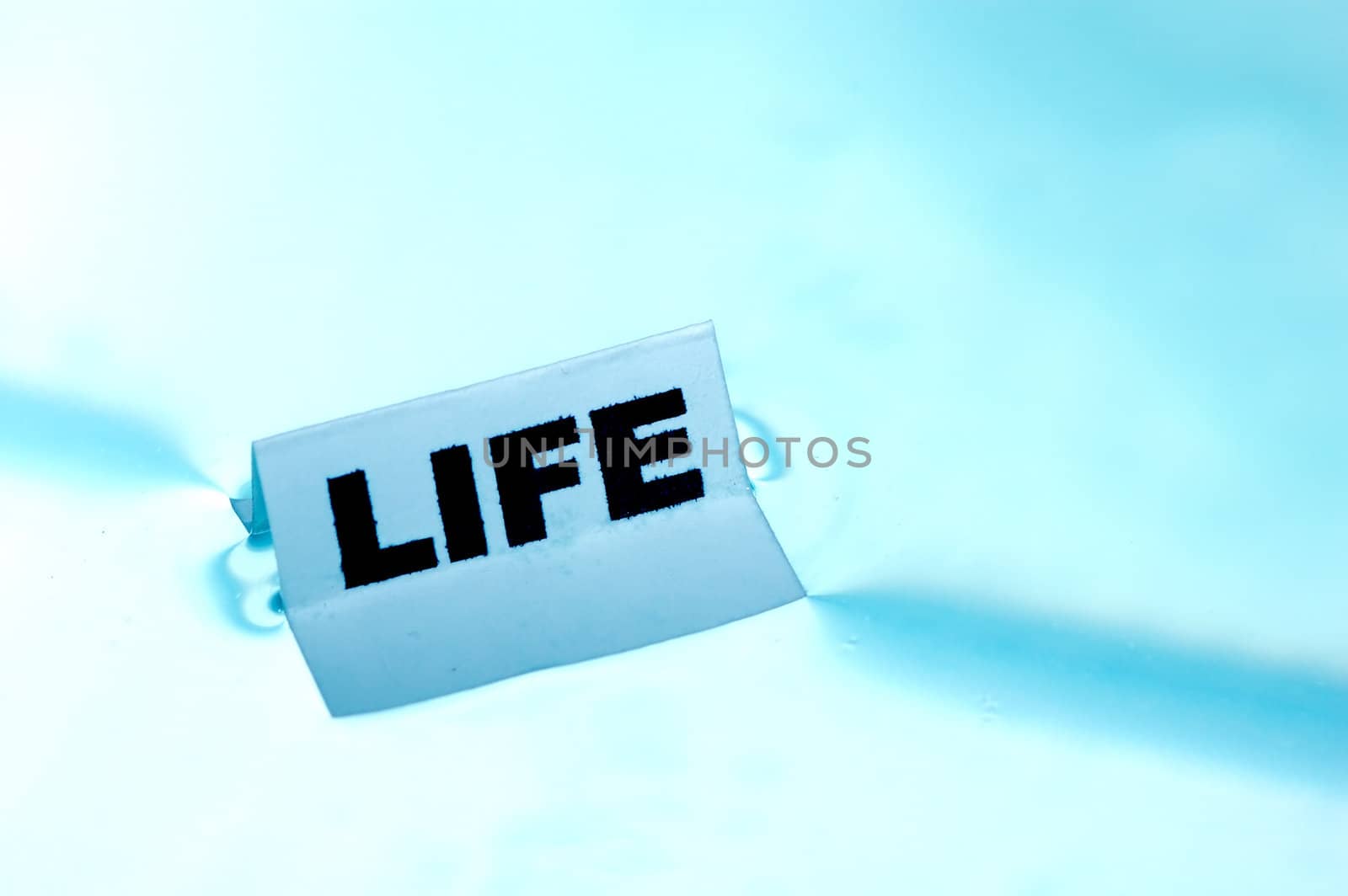 Card floating on water surface with printed word: LIFE