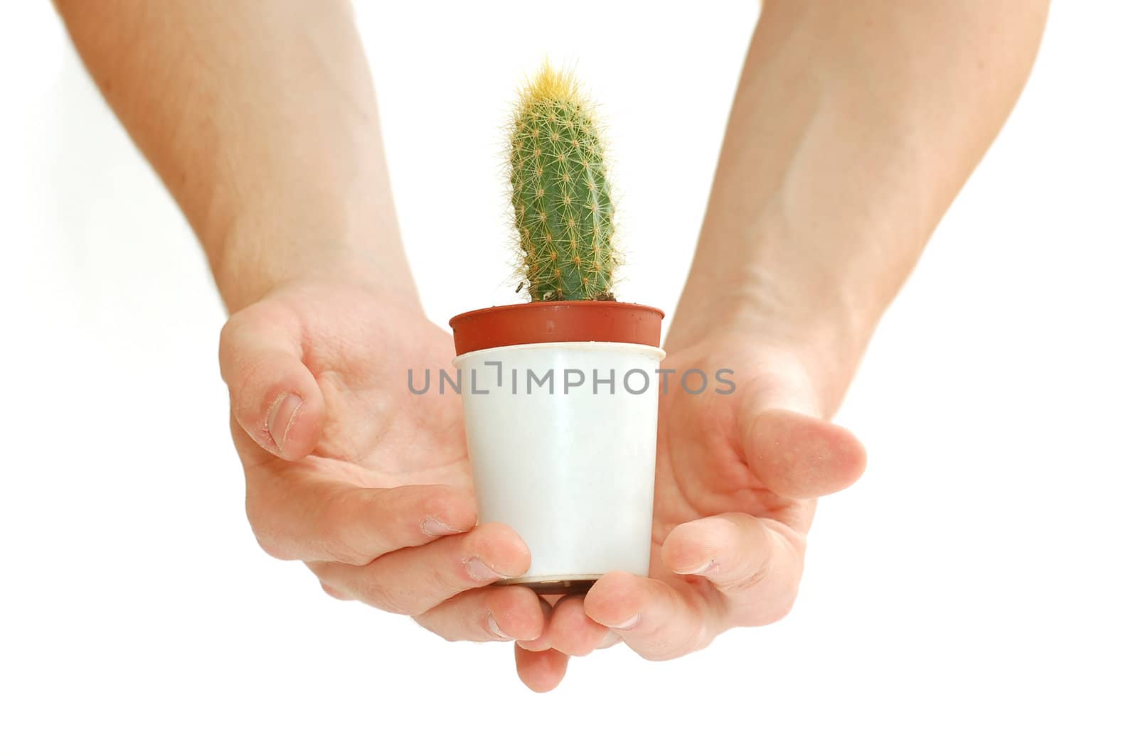 Care about new life. Isolated conceptual image
