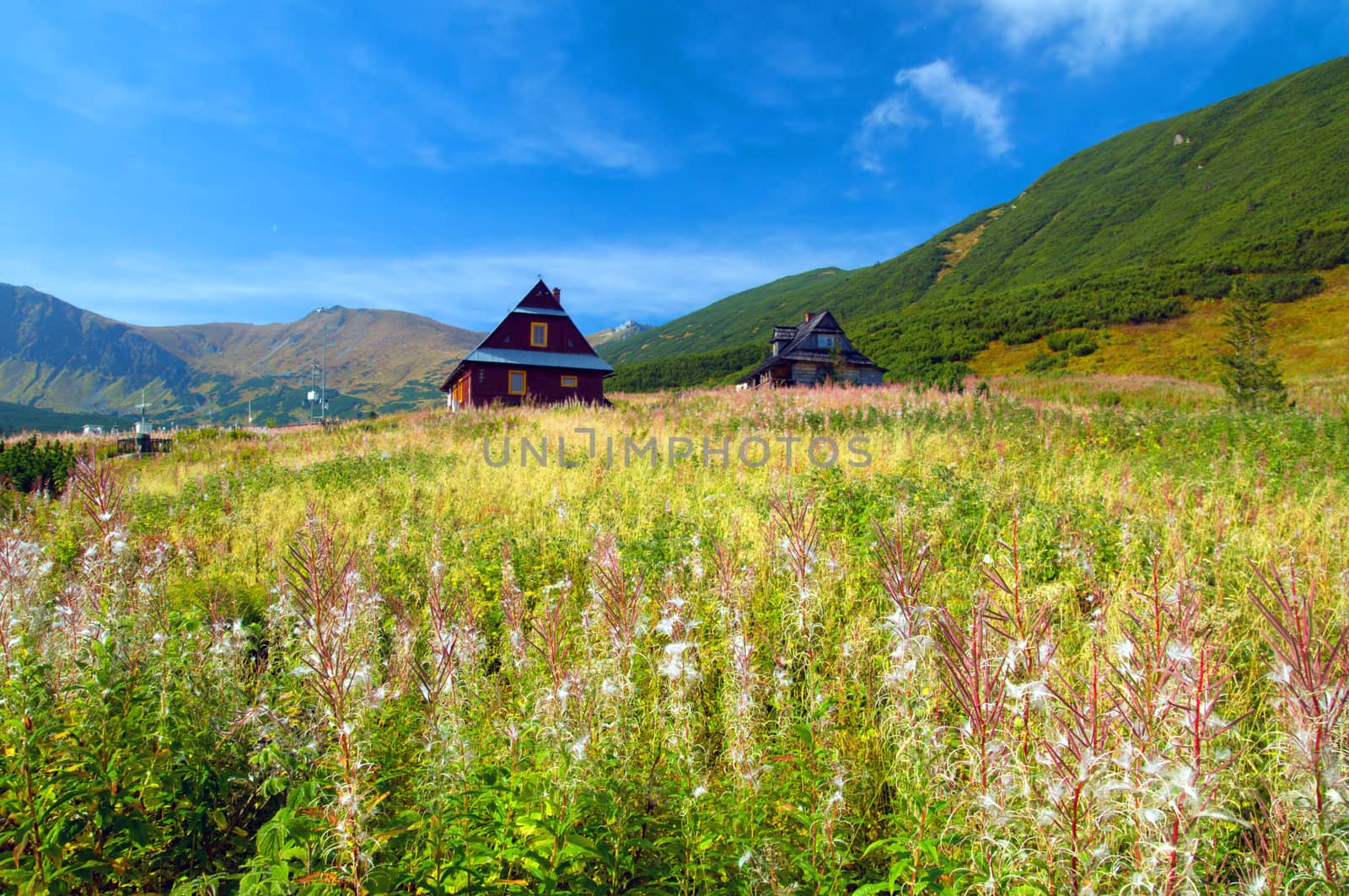 Mountains landscape. Tatra colorful picture