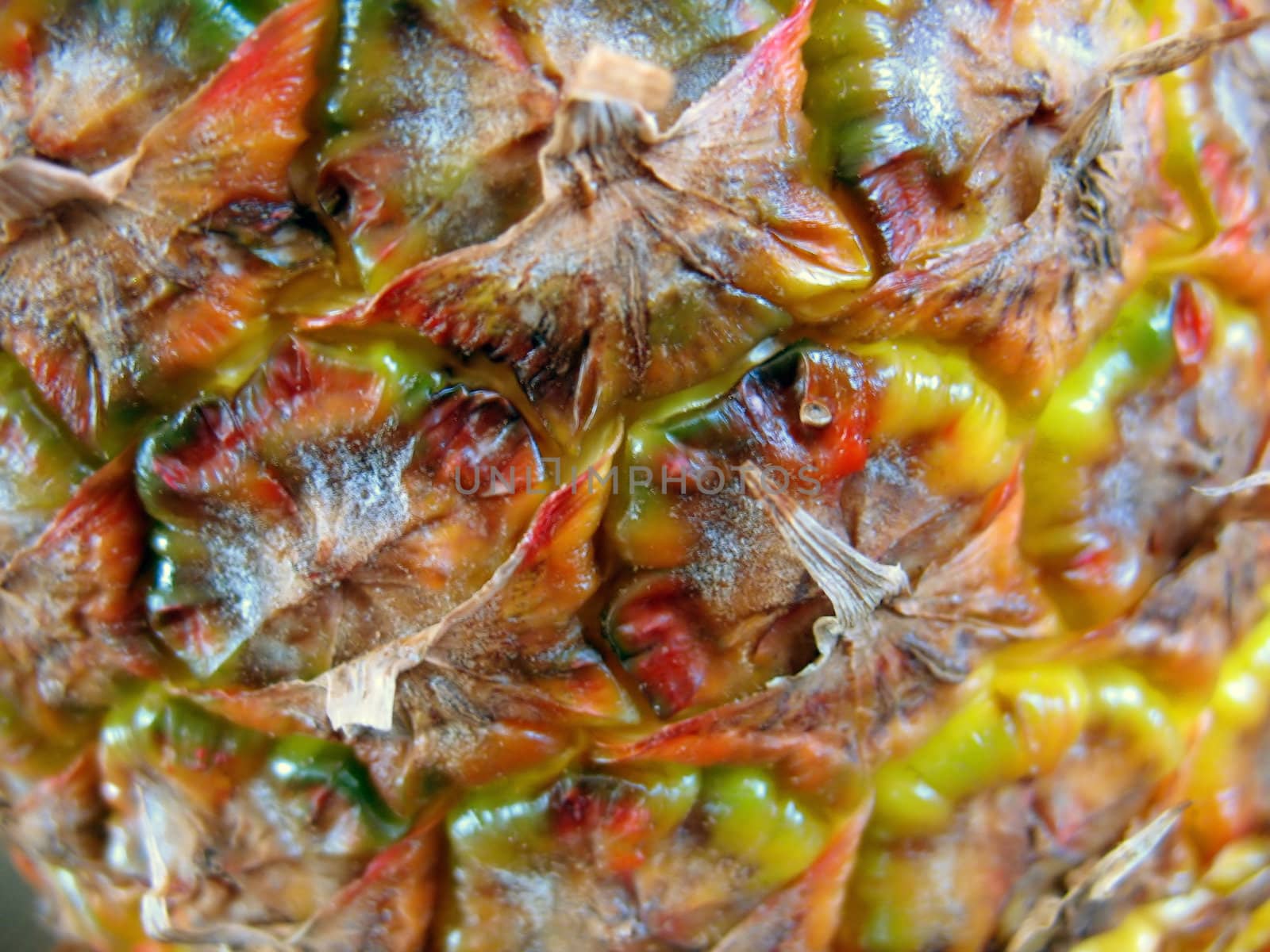 pineapple skin closeup