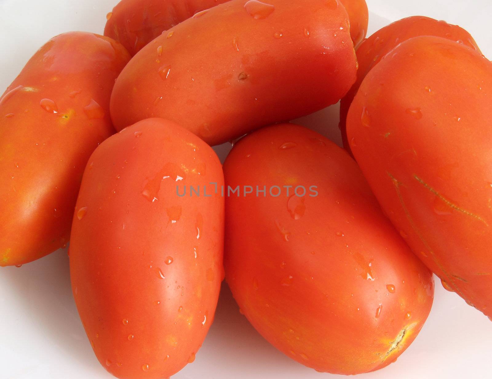 tomatos by lauria