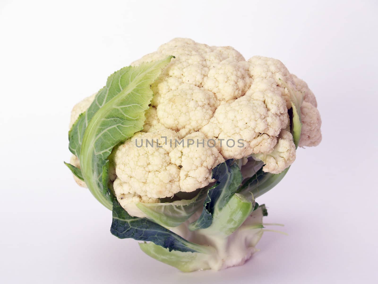 Cauliflower by lauria