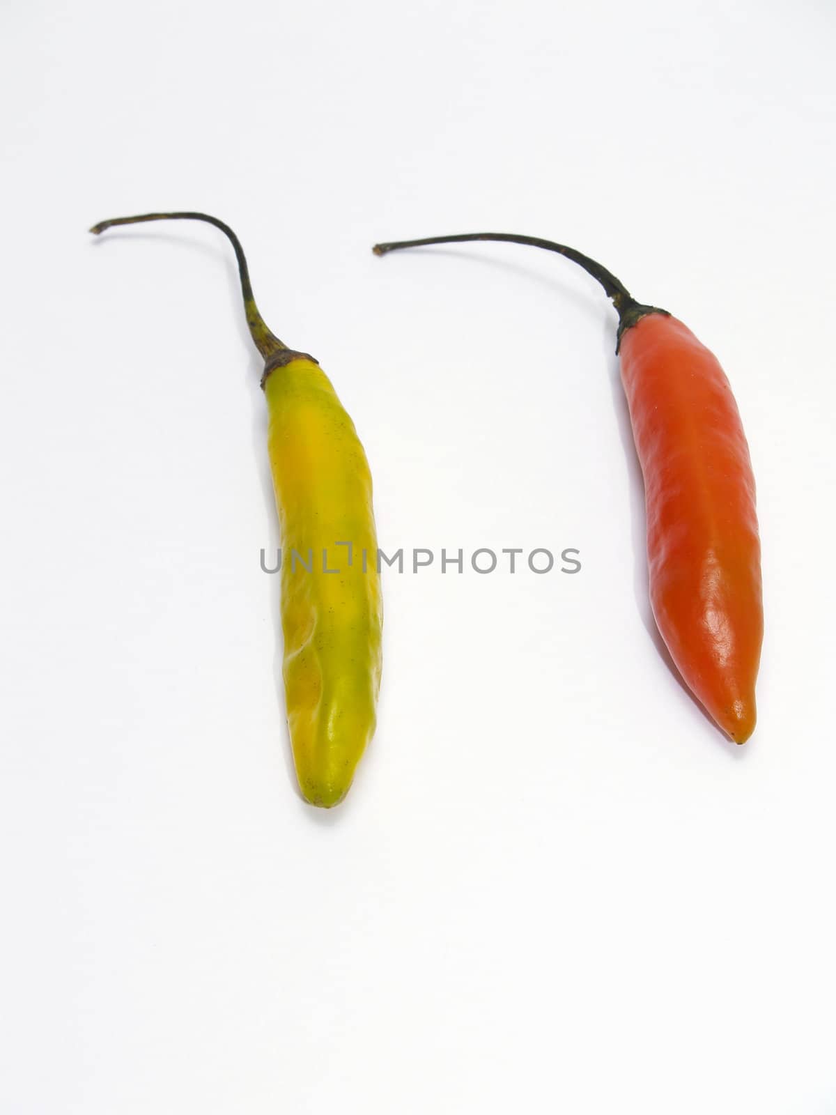 Peppers      by lauria