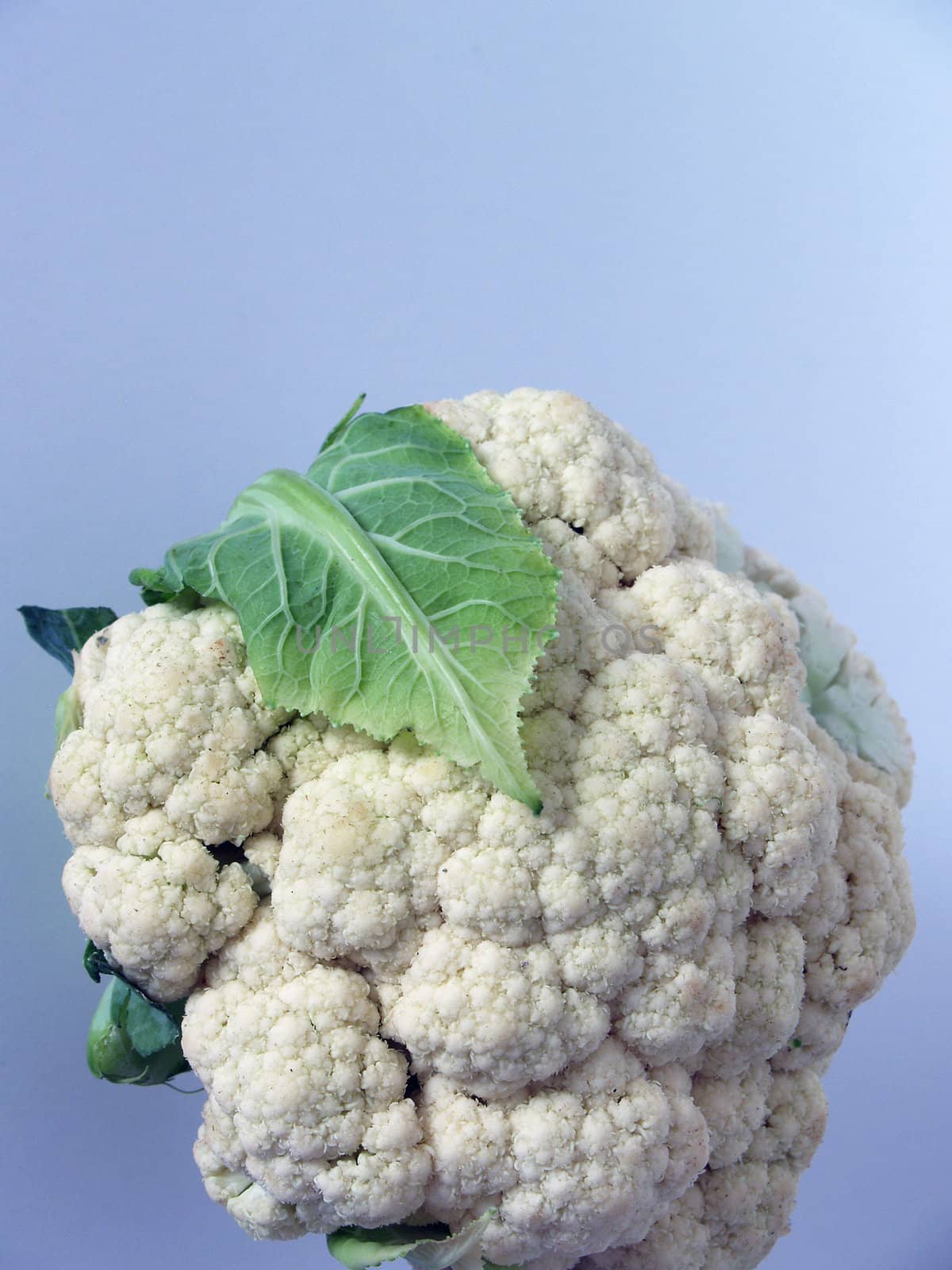Cauliflower   