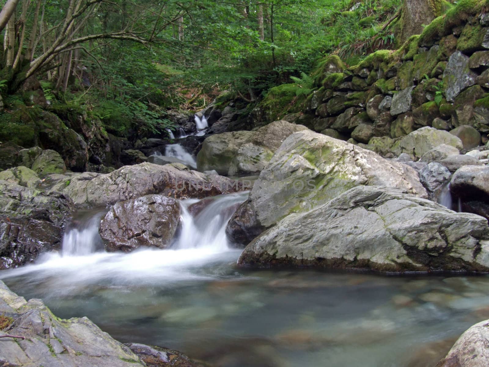 water cascading over rocks and boulders into a clear pool lined with pebbles ferns and trees
