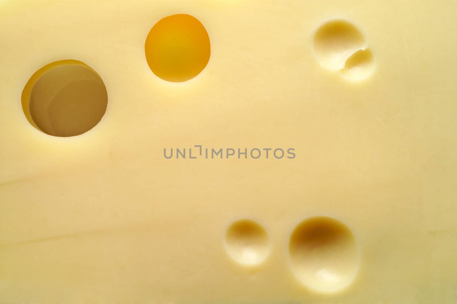 Cheese: Emmental closeup