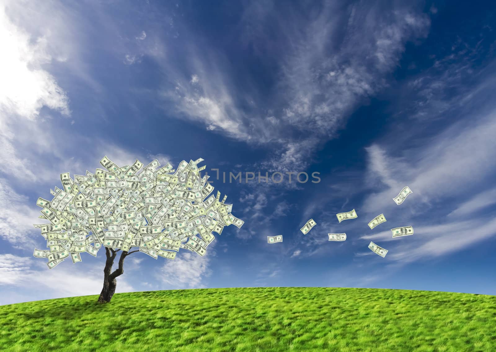 Dollar cash tree by domencolja