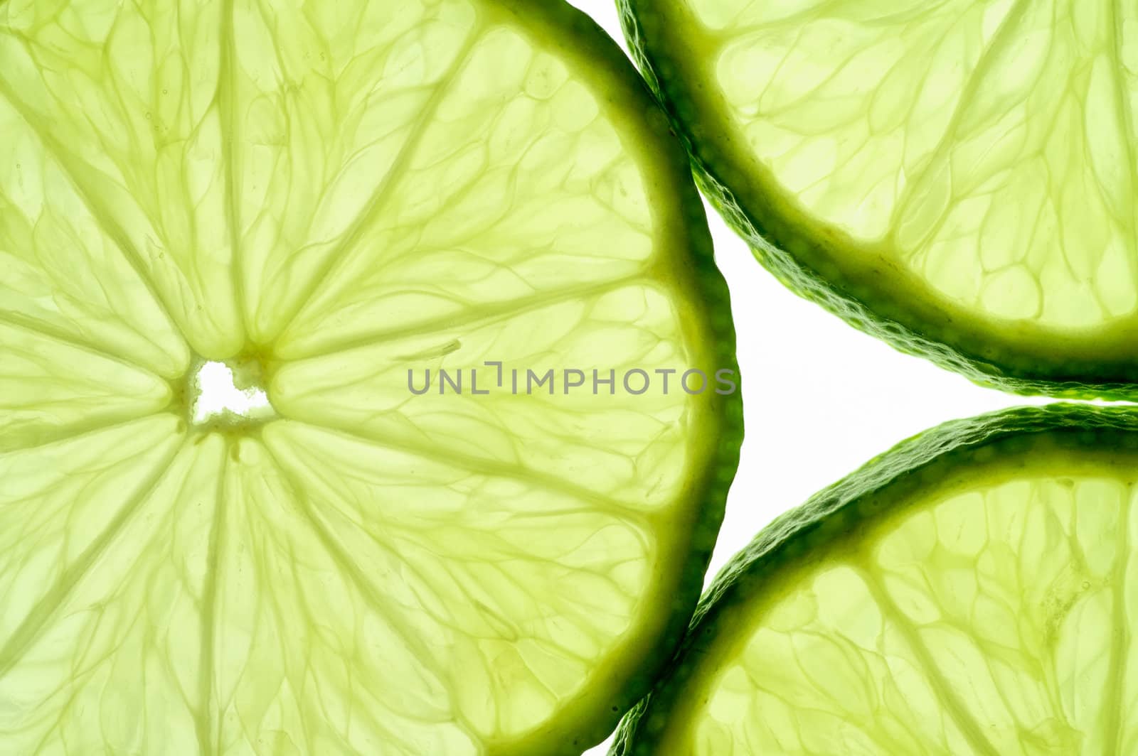 Lime slice (horizontal) on a light table (back lighted)  by Laborer