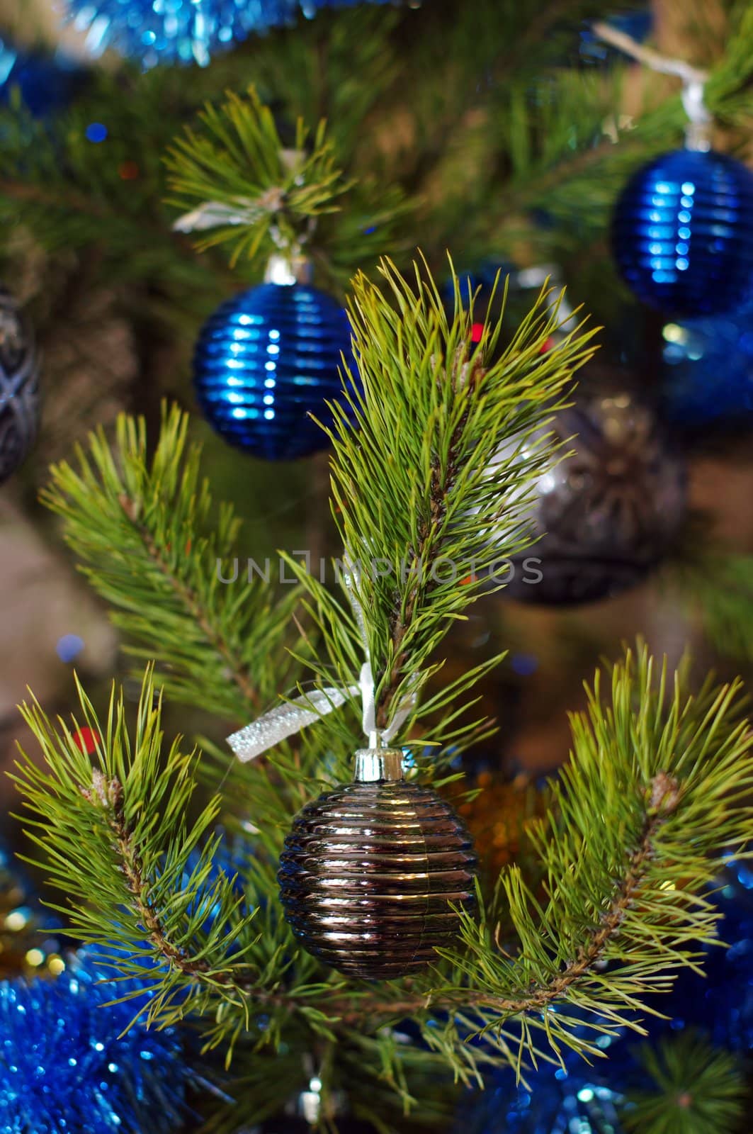 Christmas-tree decorations on the pine tree