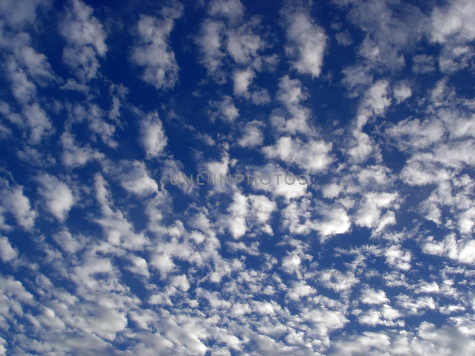 Abstract Background Sky Texture.