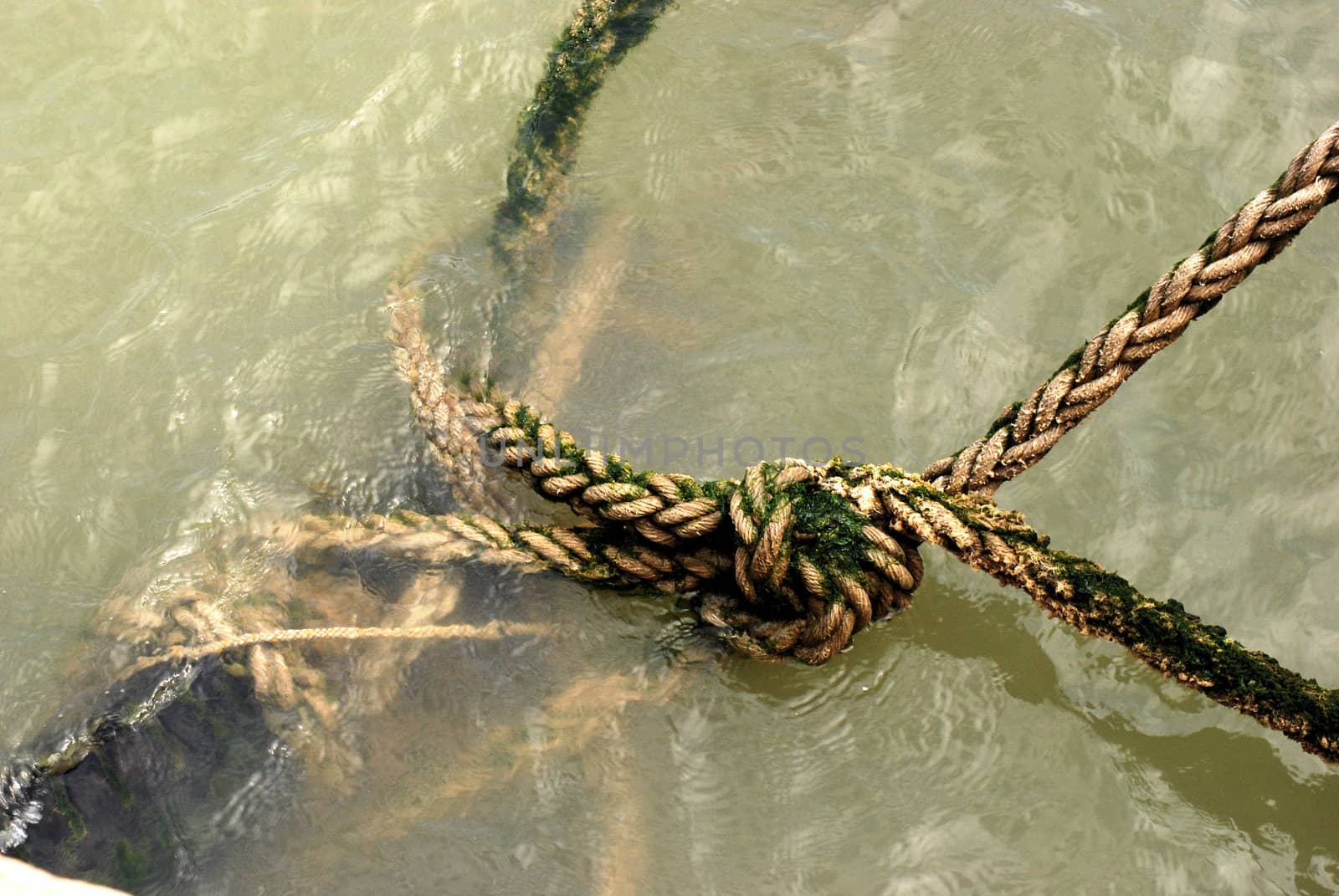 Ships tie up Rope