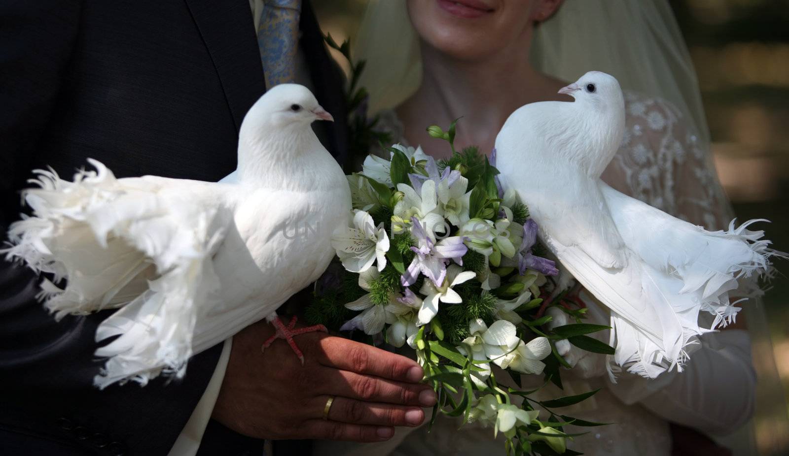 Wedding pigeons in hands of a newly-married couple