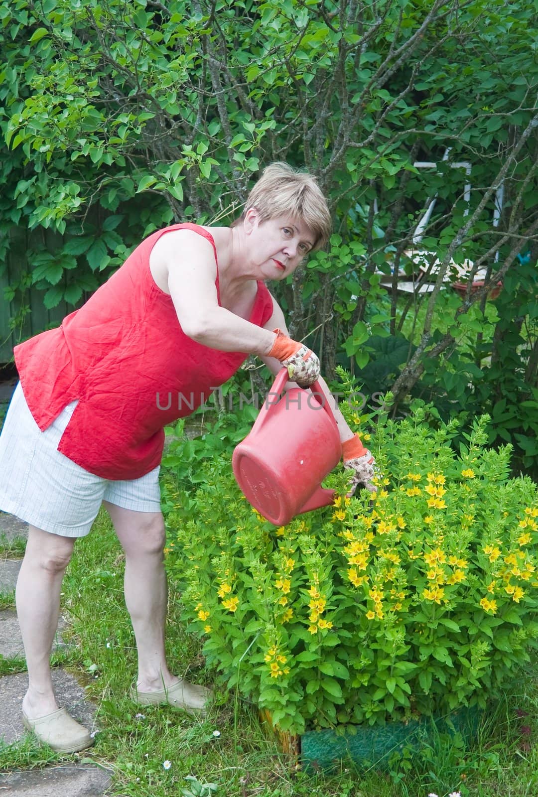 Woman watering flowers