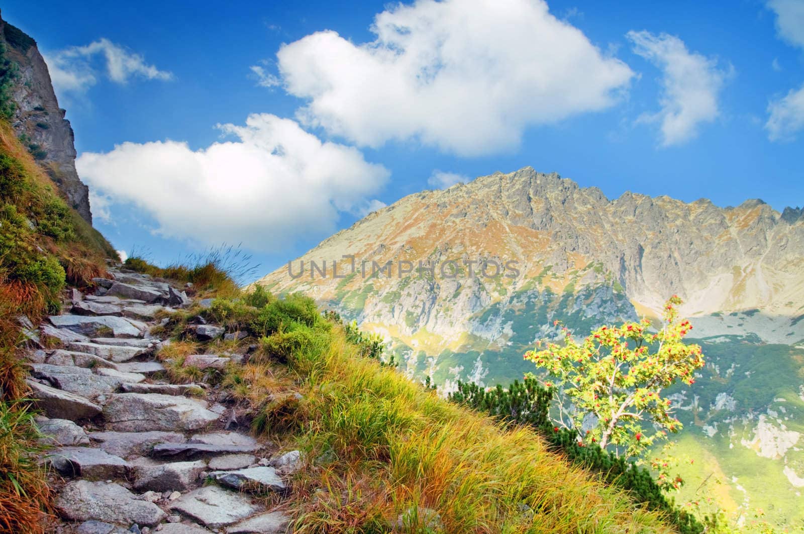 Mountains landscape. Tatra colorful picture