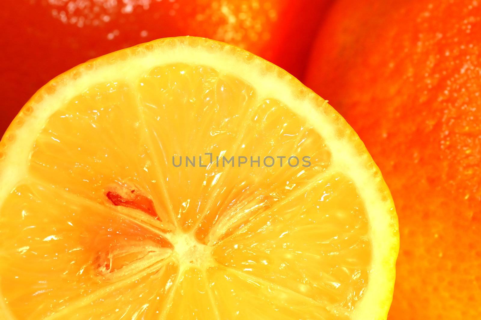 Fresh orange background, Citrus fruits