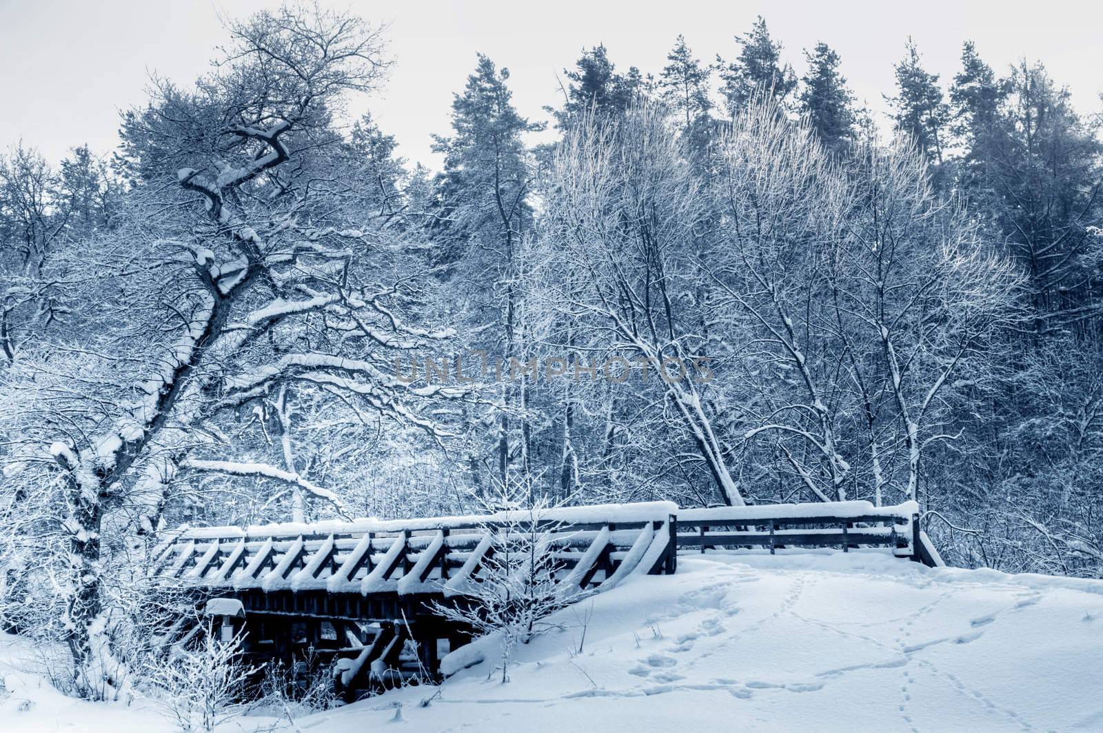 Bridge in winter forest during sunset, lots of snow