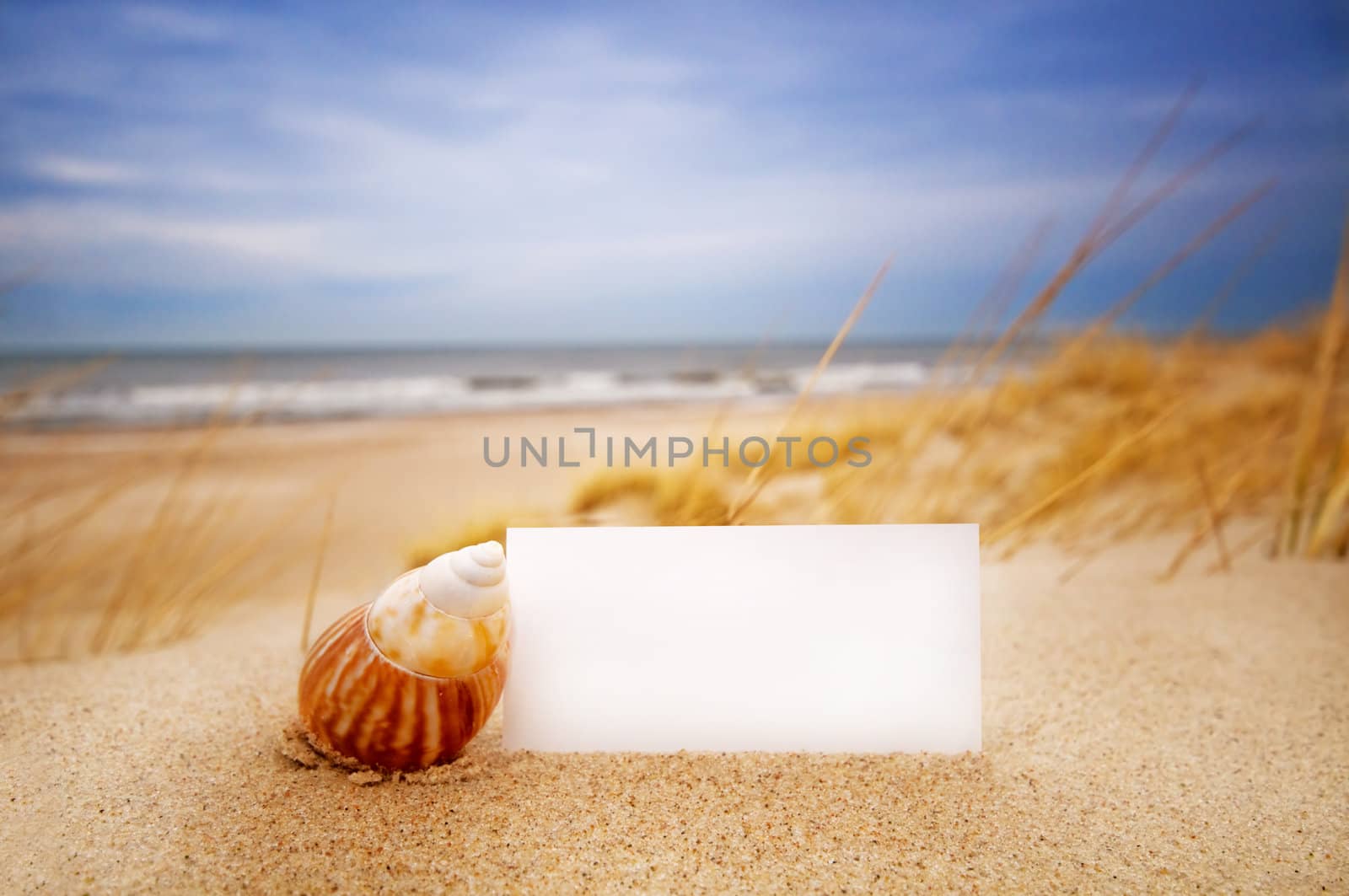 Blank white card for your message and a shell on summer beach
