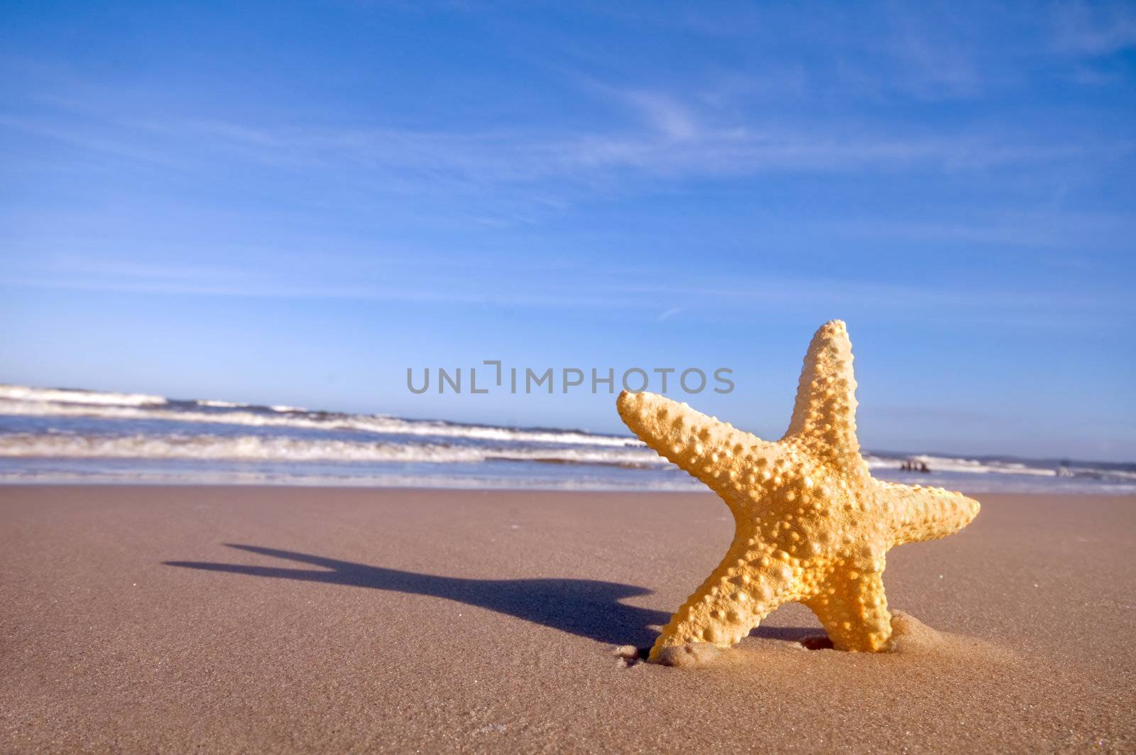 Starfish on summer sunny beach. Travel, vacation concepts