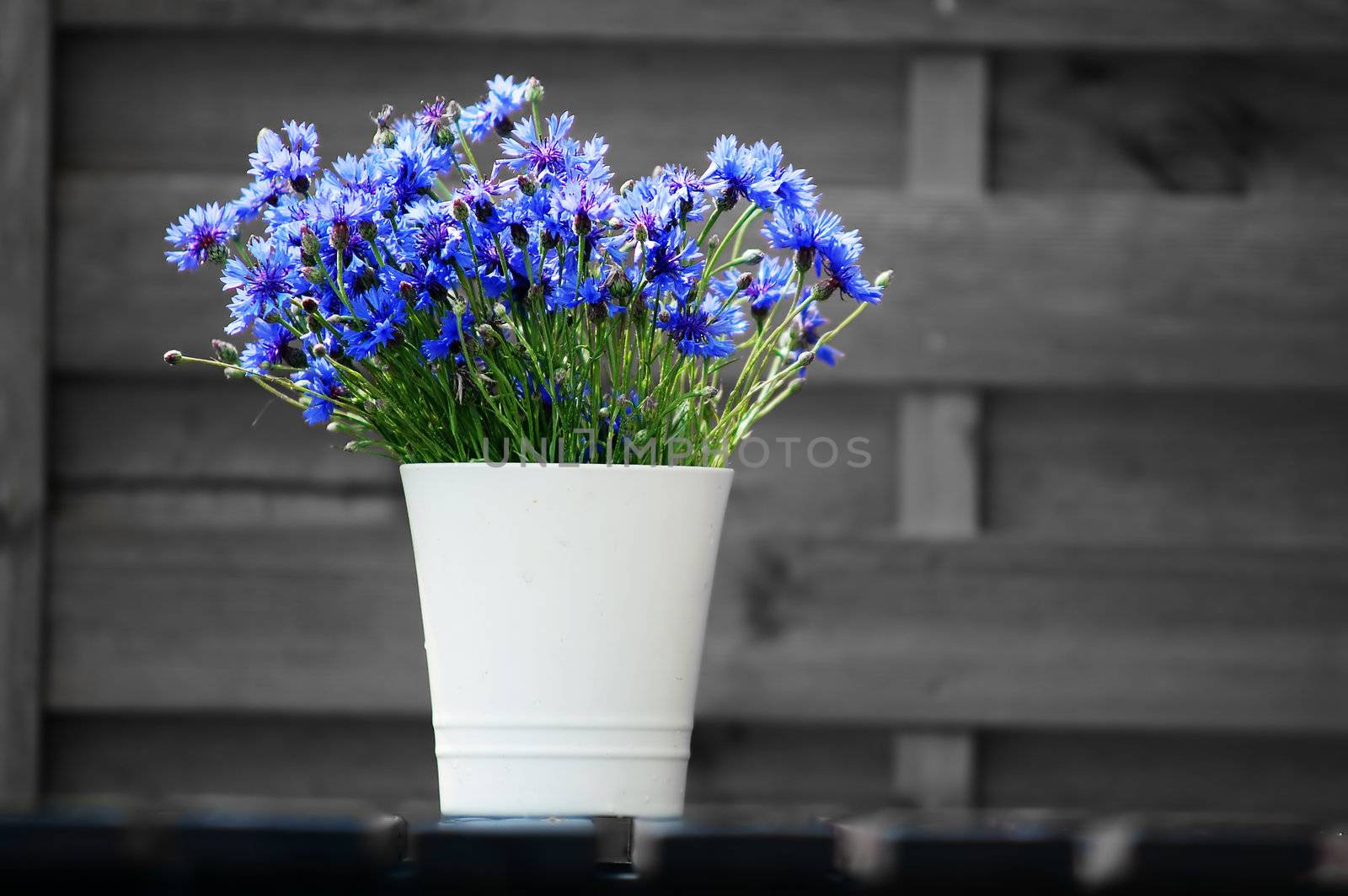 Outdoor design composed with natural wooden fence and flowers