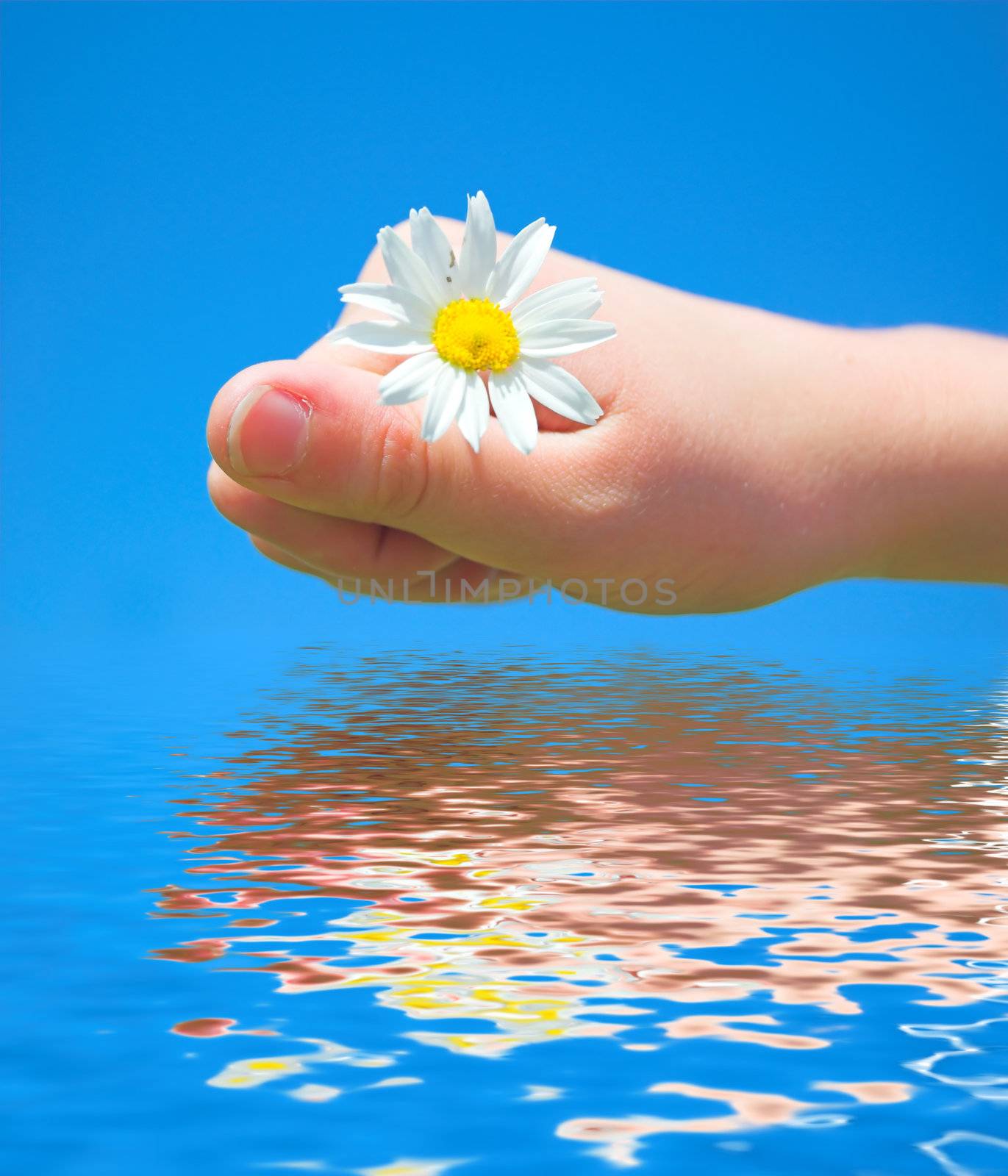 SPRING FEELINGS. Young hand with flower about clear water