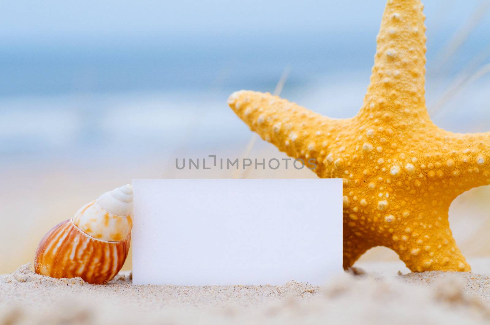 Blank white card for your message with a starfish and shell on summer beach