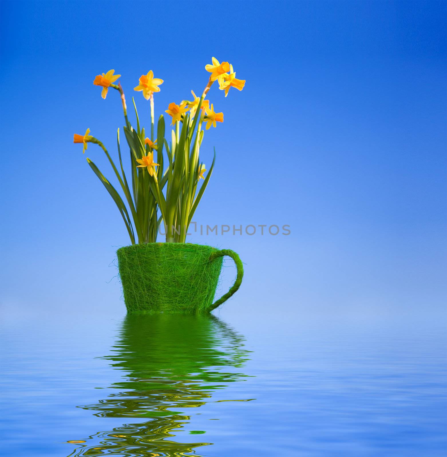 Digital composition of flowers in grassy flowerpot reflected in water