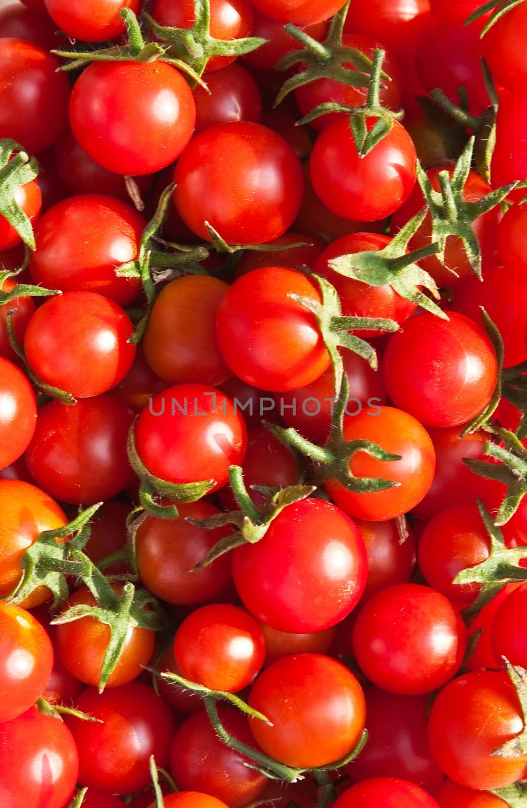 Red tomatoes "Cherry". Background by nikolpetr