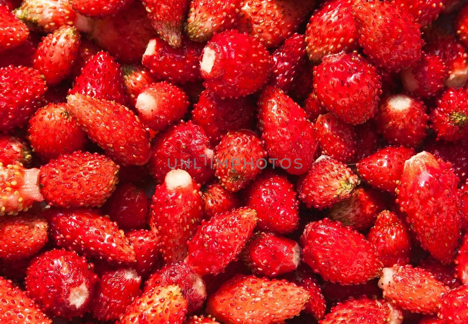 Lots of strawberries arranged as the background by nikolpetr