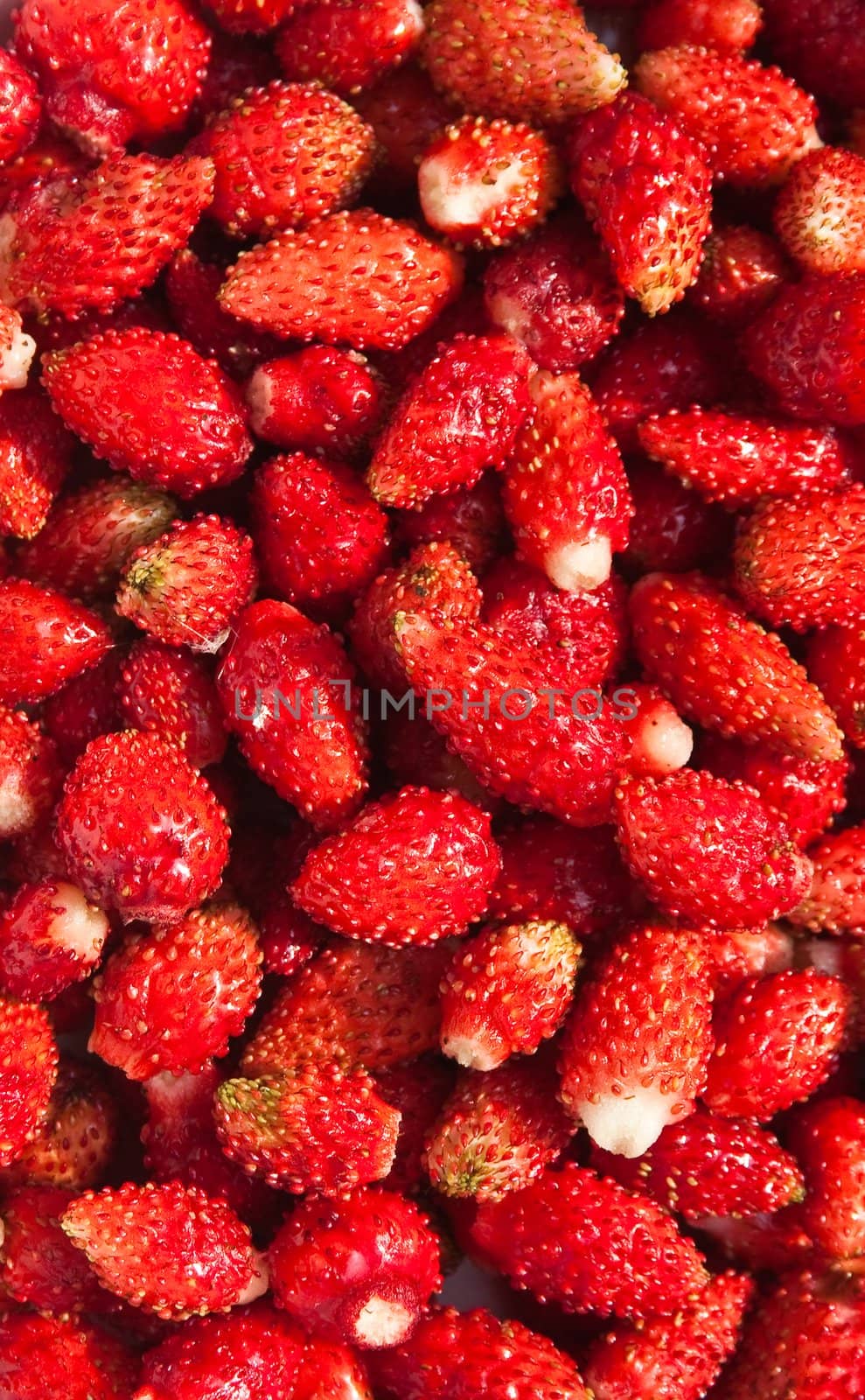 Lots of strawberries arranged as the background