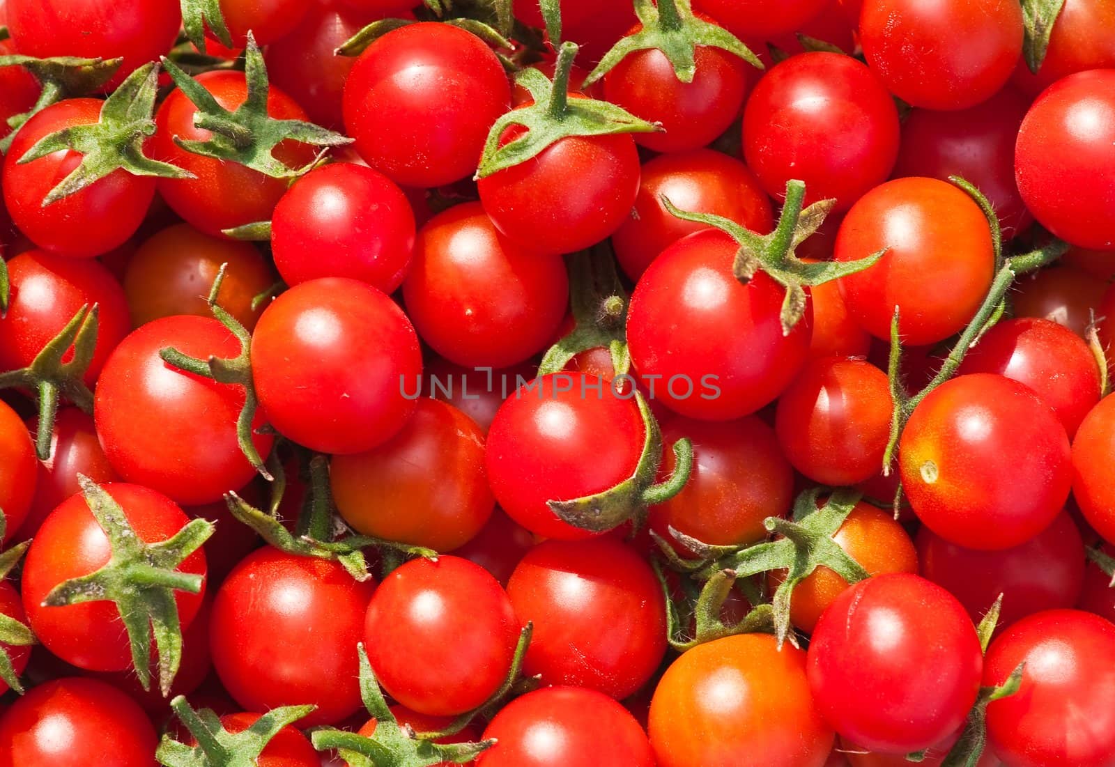 Red tomatoes "Cherry". Background