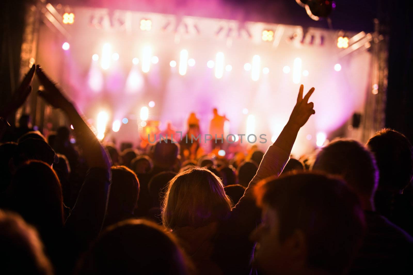 Crowds of people having fun on a music concert